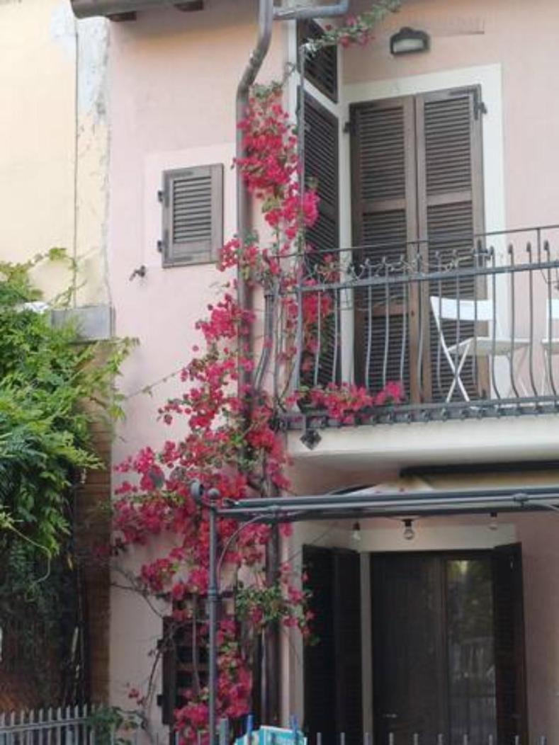 Bouganville House Senigallia Exterior foto